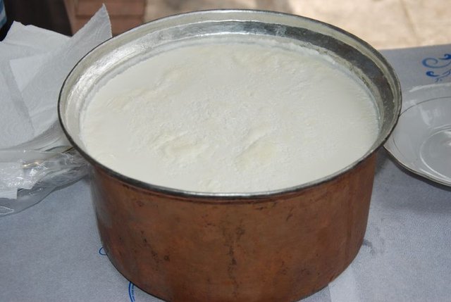 1 kilo yoğurt için gereken süt miktarı