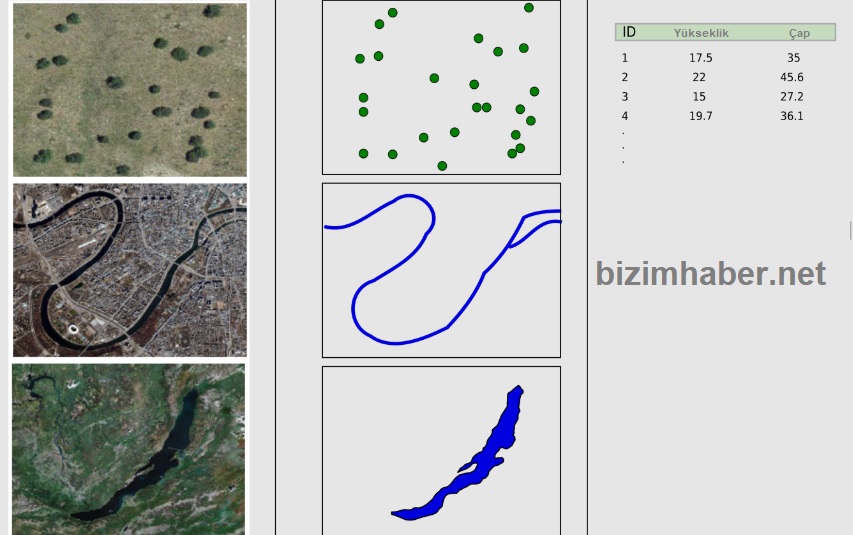 ulusal coğrafi veri sorumluluk matrisi