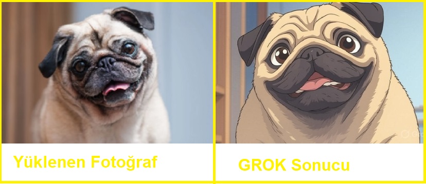 grok anime yapma