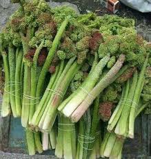 uçkun hangi vitamin
